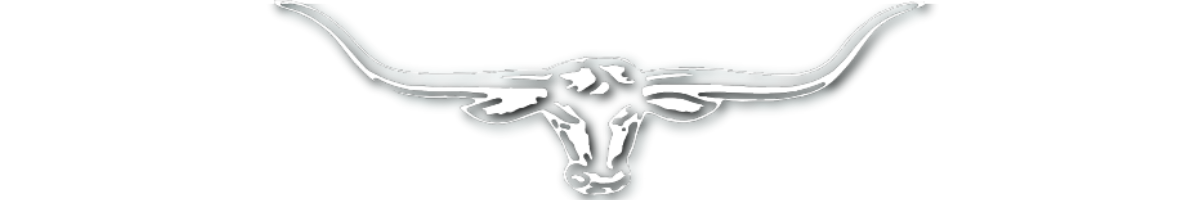 Large Longhorn Bull Banner! (Style 2)