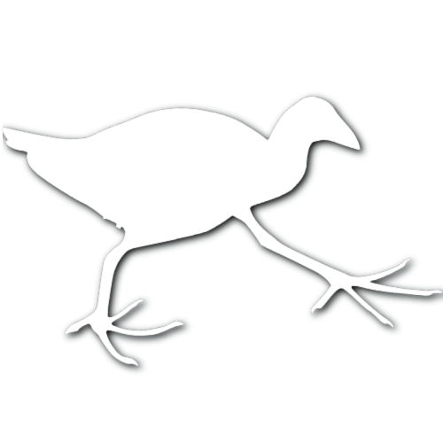 Pukeko Sticker!