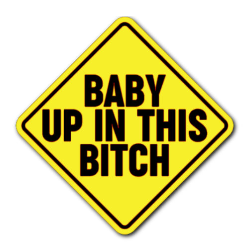 Baby Up In This Bitch Sticker! (Multicolour)