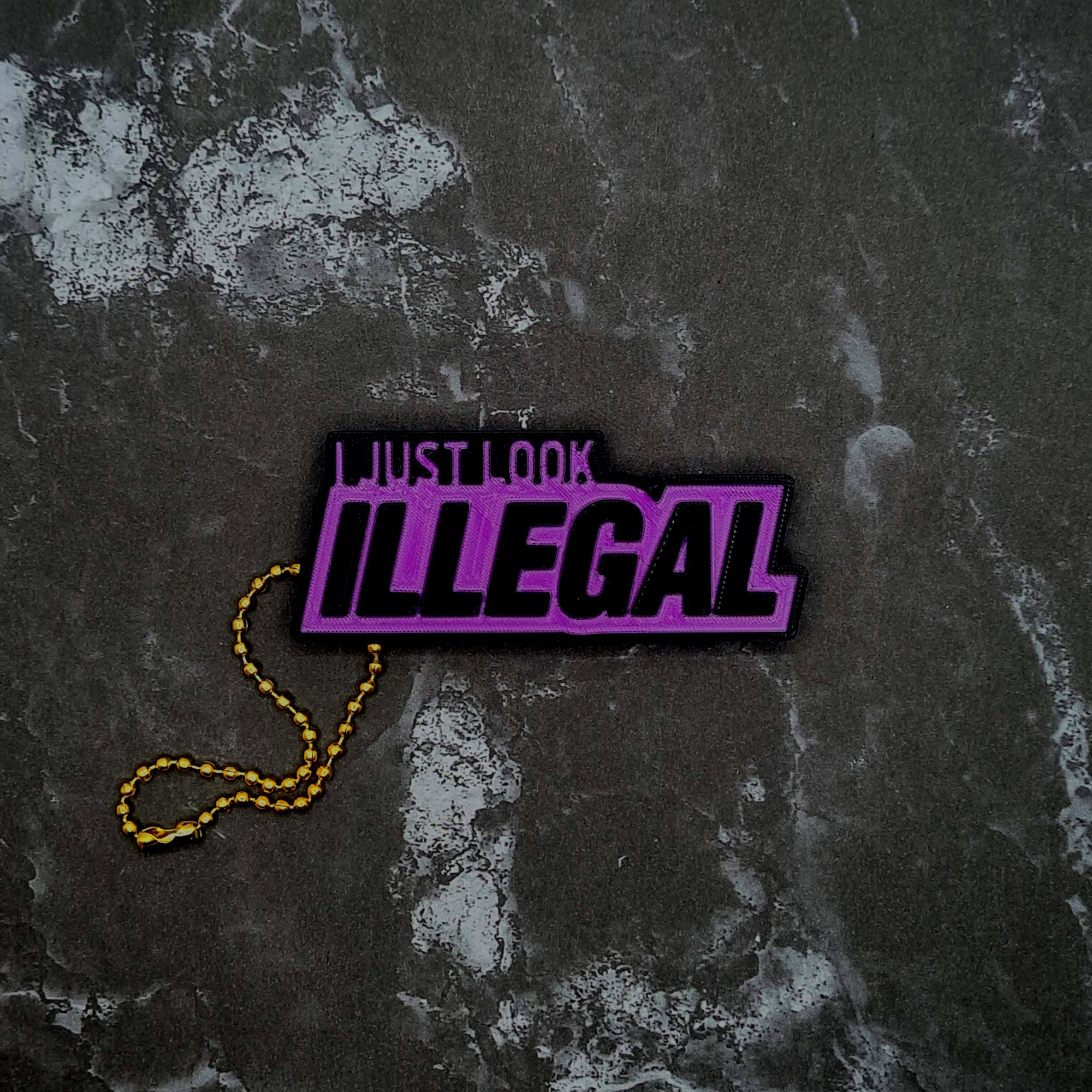 I Just Look Illegal Keychain! (reverse)