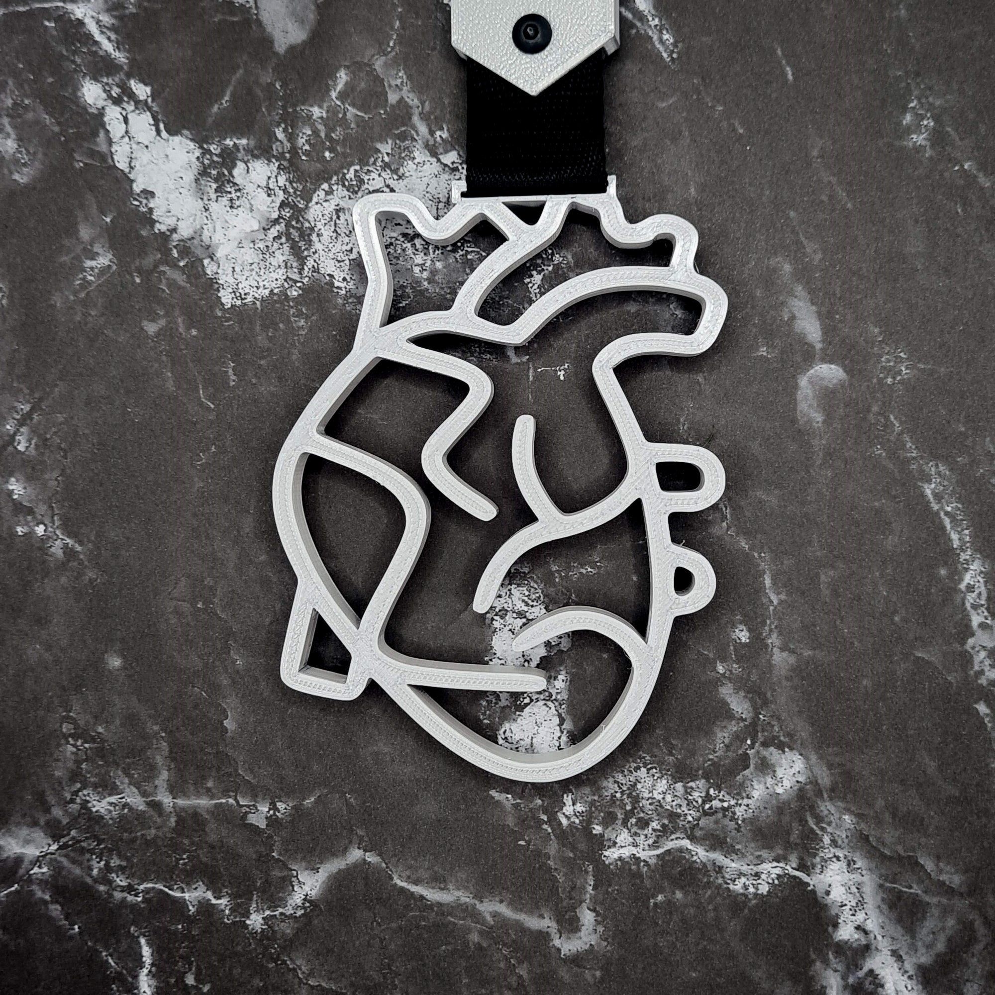 Heart Tsurikawa! (Anatomical)