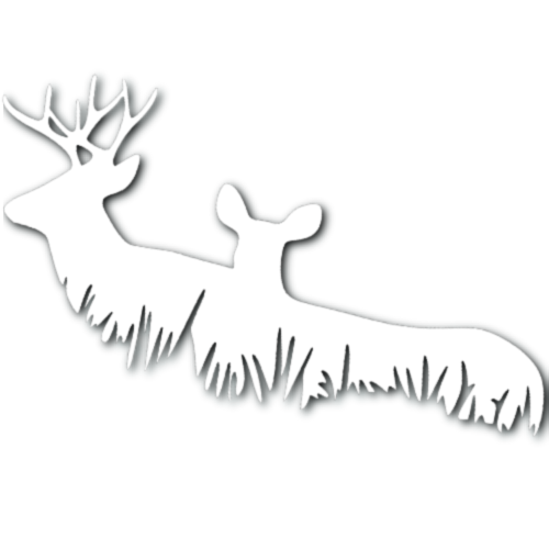 Deer Bush Sticker!