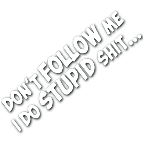 Don't Follow Me, I Do Stupid Shit Sticker!