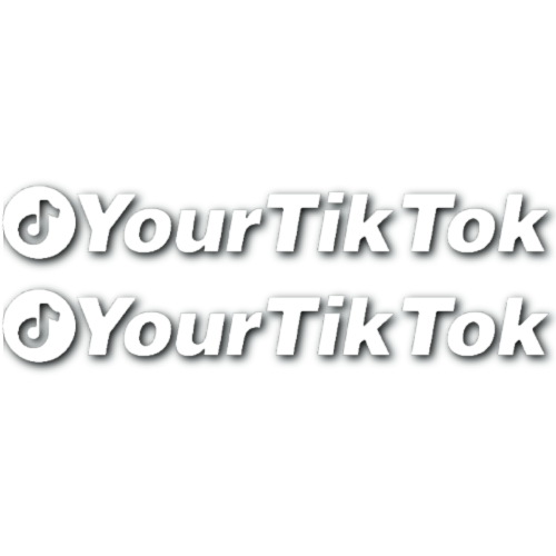 Custom TikTok Stickers! (set of 2)